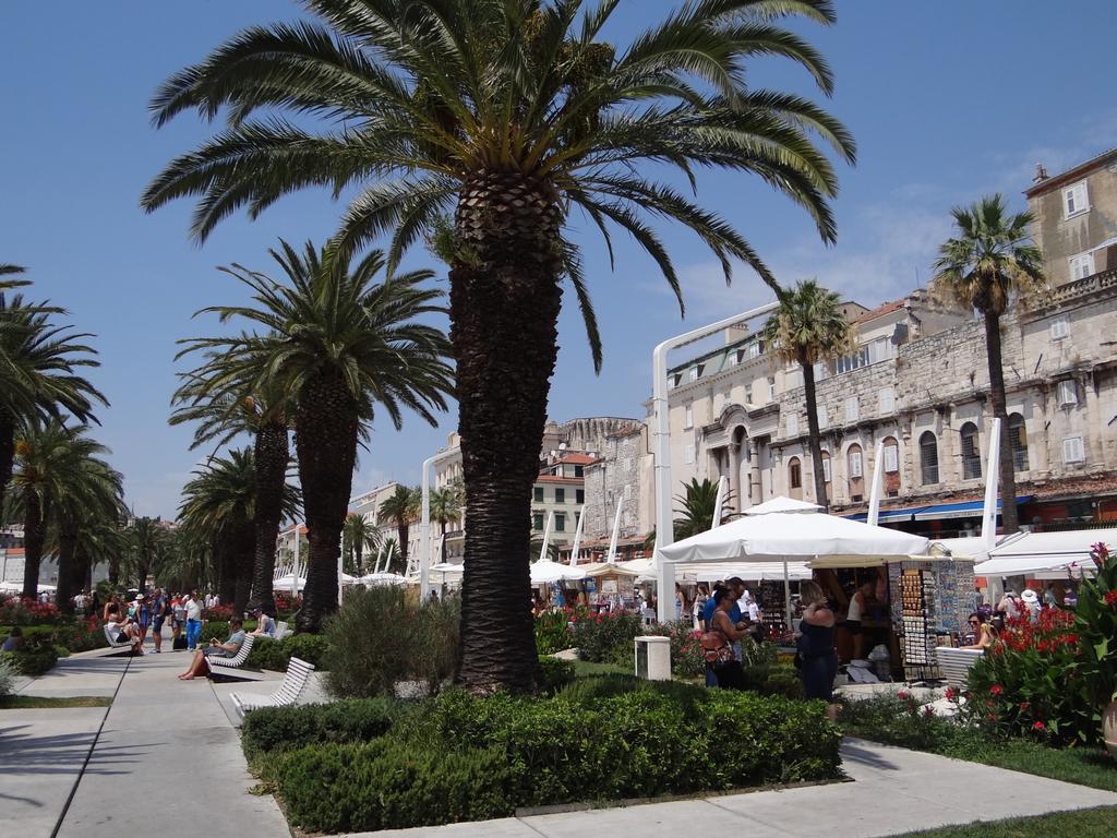 Split City Apartment Bene 21 Экстерьер фото